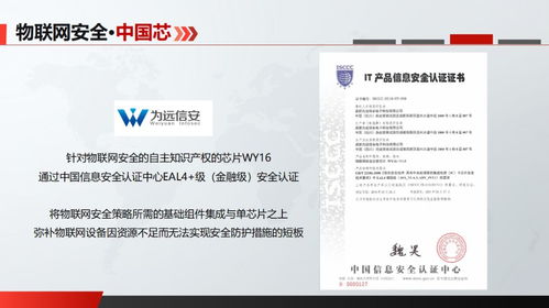 物聯(lián)網(wǎng)安全守護(hù)者 成都創(chuàng)業(yè)公司以安全芯片當(dāng)好智能設(shè)備“守門員”