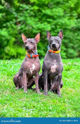 汾陽游戲點(diǎn)券代理加盟與網(wǎng)絡(luò)信息安全軟件開發(fā) 機(jī)遇與挑戰(zhàn)并存的新興領(lǐng)域